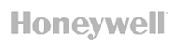 Lazy Owl Image